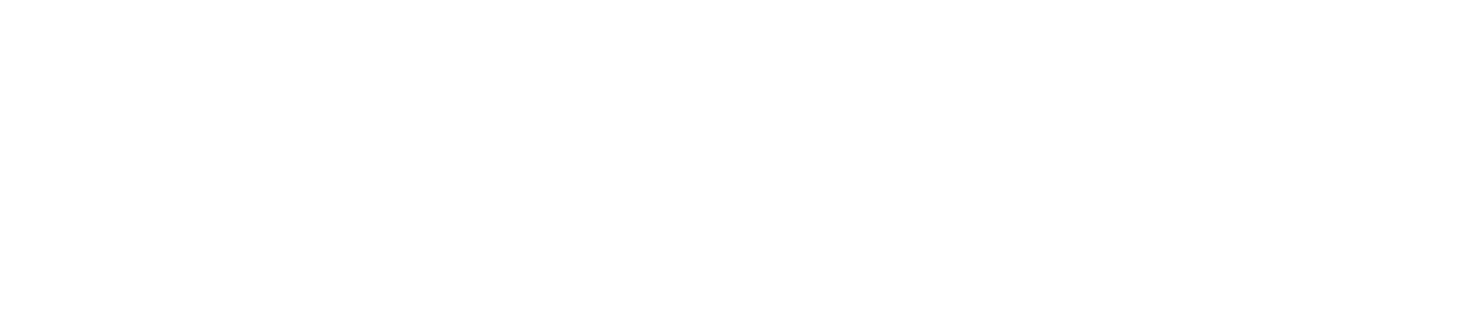 AVEO | End-To-End AI-Empowered Digital Transformation Partner